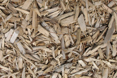biomass boilers Cilau