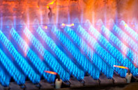 Cilau gas fired boilers